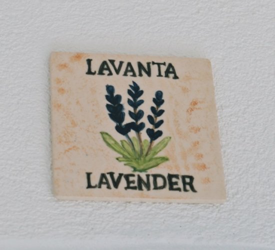 Lavanta