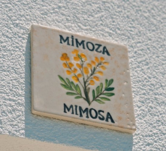 Mimoza