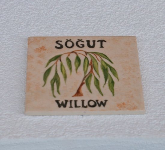 Söğüt 